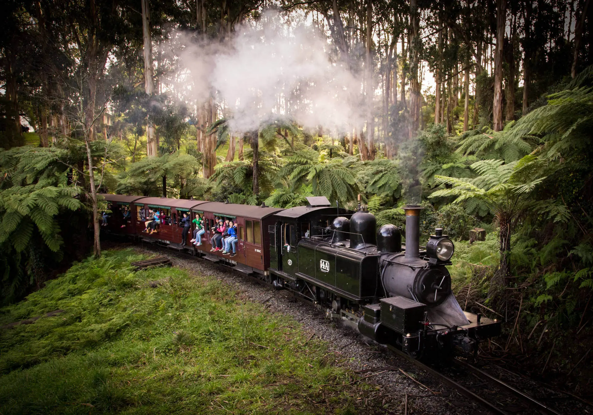 Dandenong Ranges